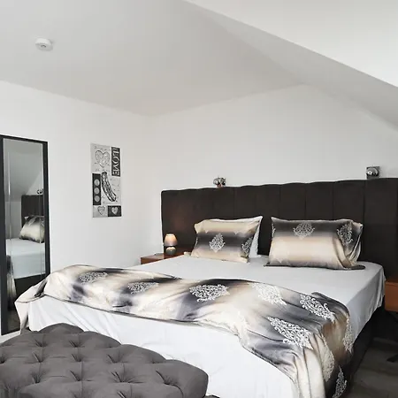 Appart hôtel Ferienwohnung&aparts By Kispet Group In Oberhausen (North Rhine-Westphalia)